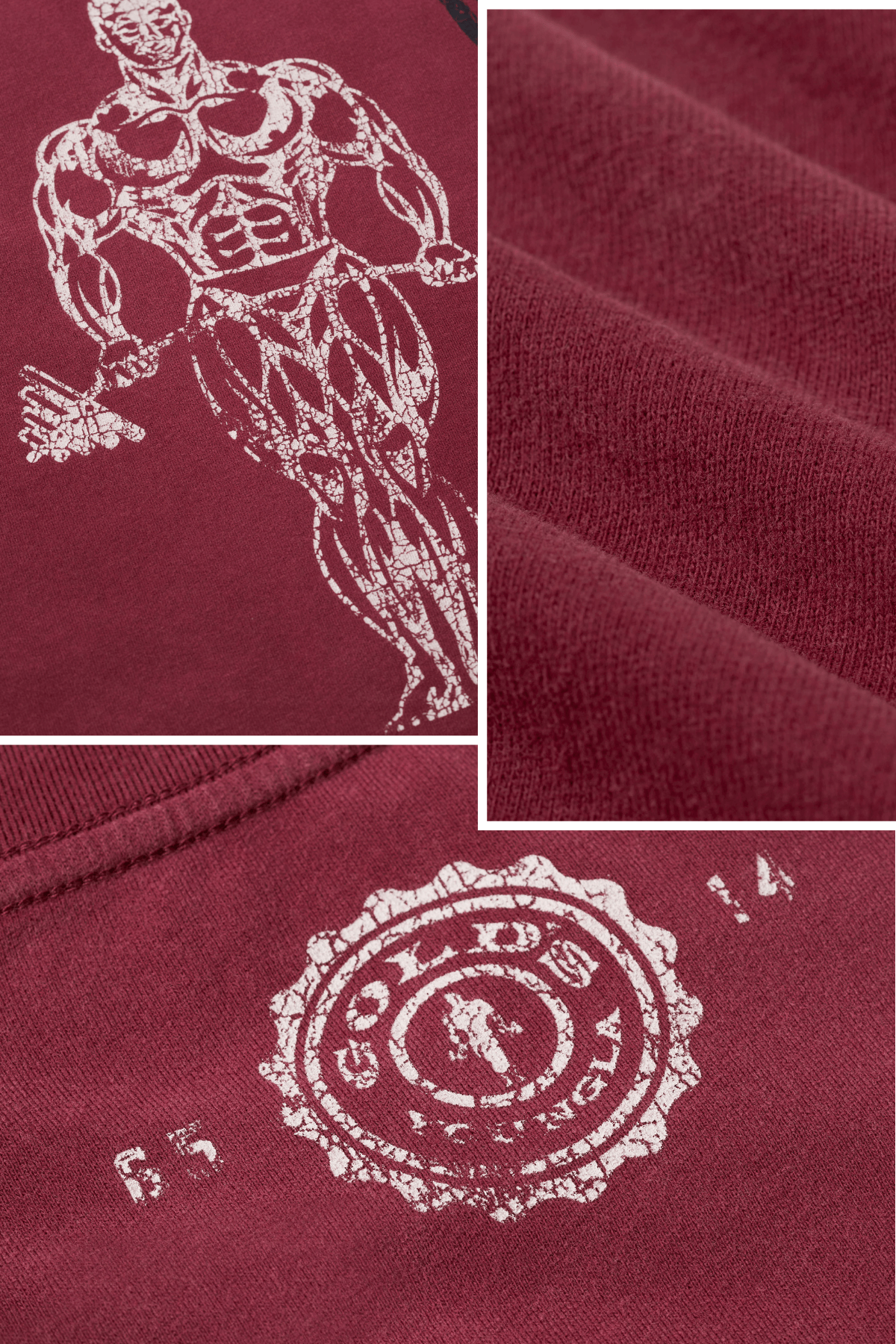 4213 - T-shirts icônes Gold's Iron Legacy