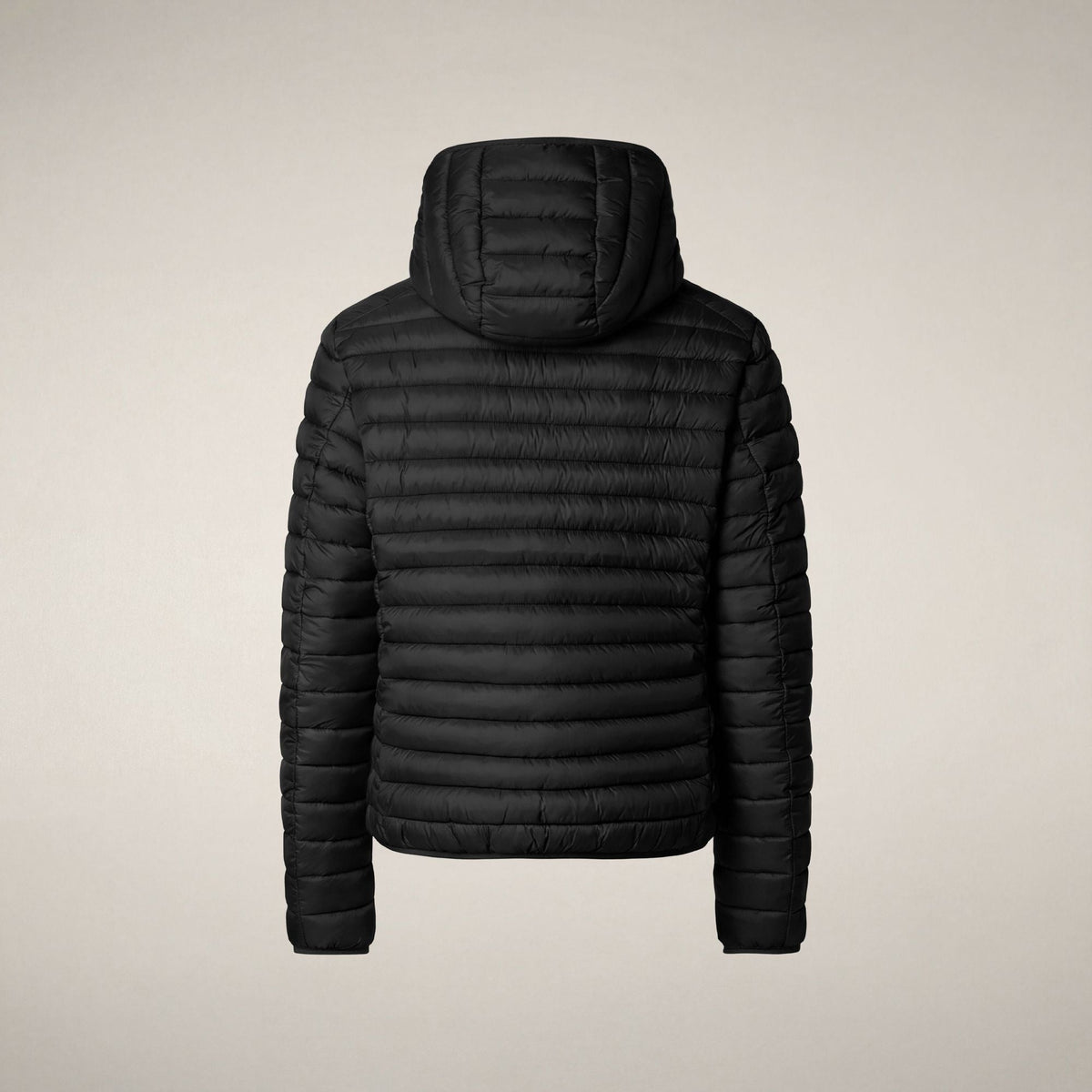 Men's Puffer Jacket Donald in Black