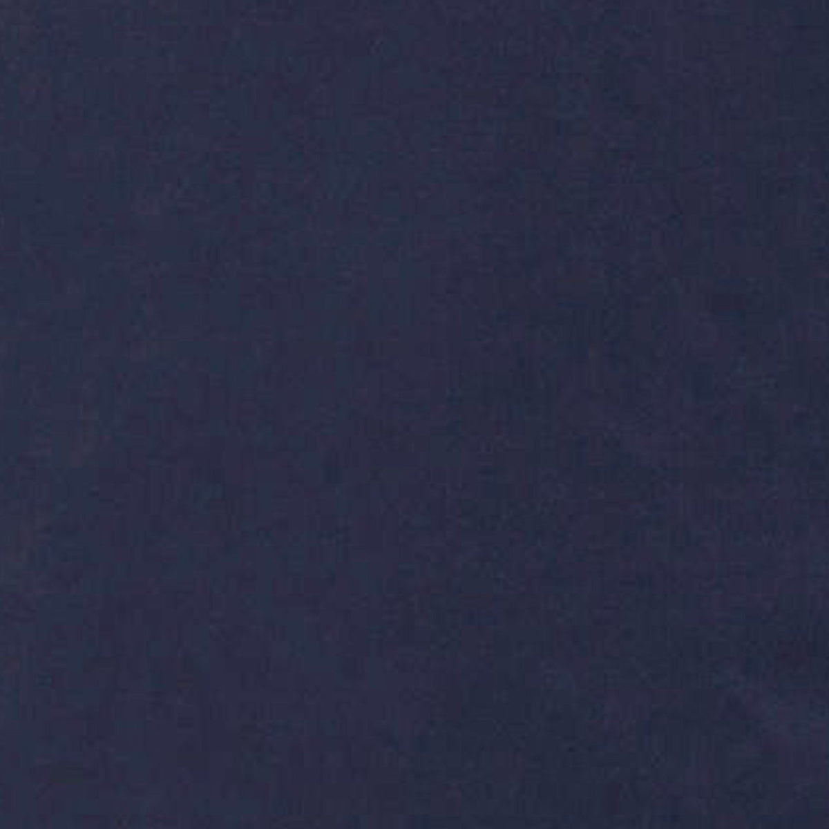Men's Coat Rolf in Navy Blue