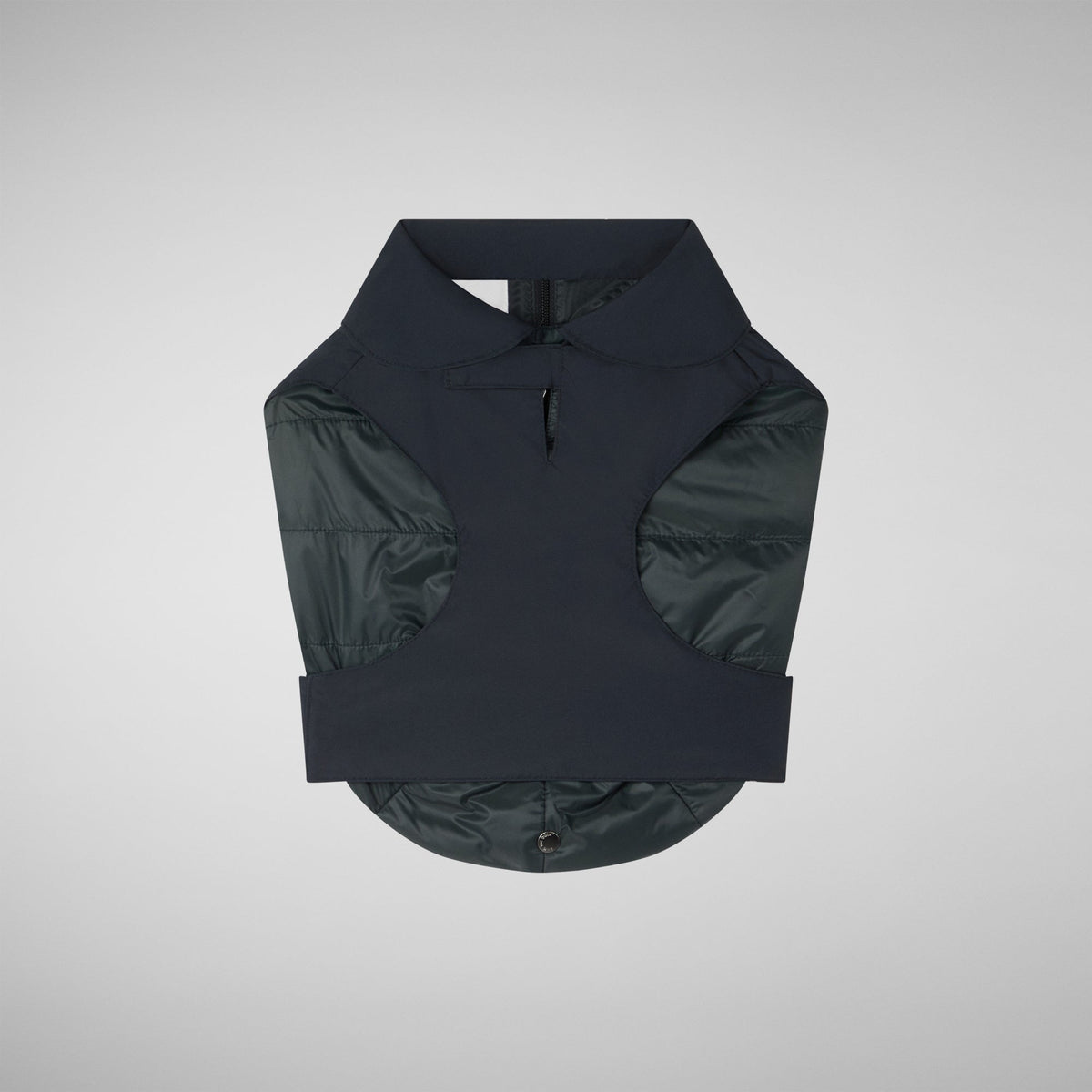 Unisex dog vest Rex in black and lining green