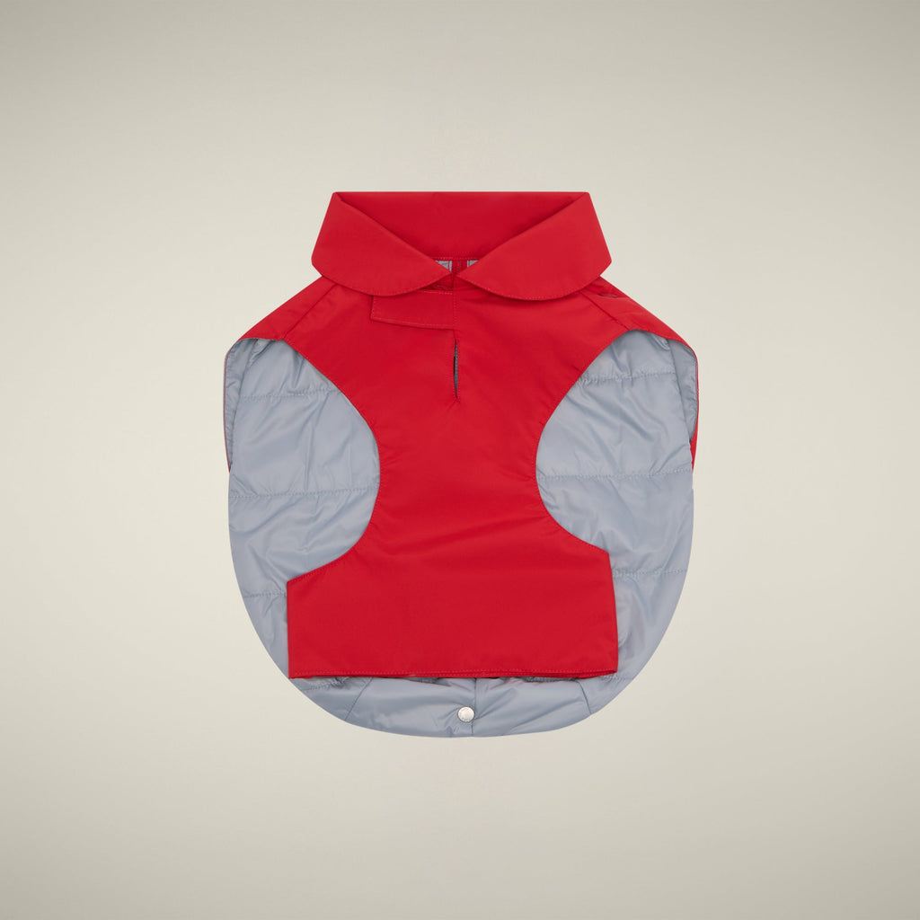 Unisex dog vest Rex in flame red