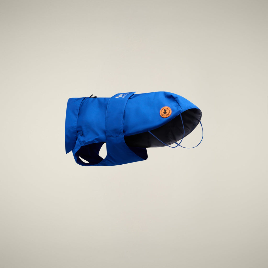 Unisex dog vest Rex in cyber blue
