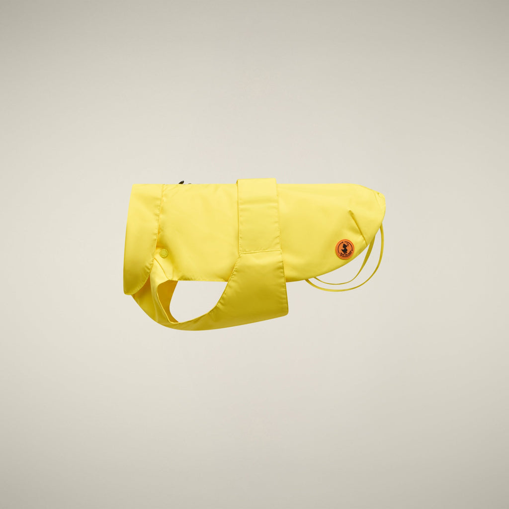 Unisex dog vest Rex in yellow