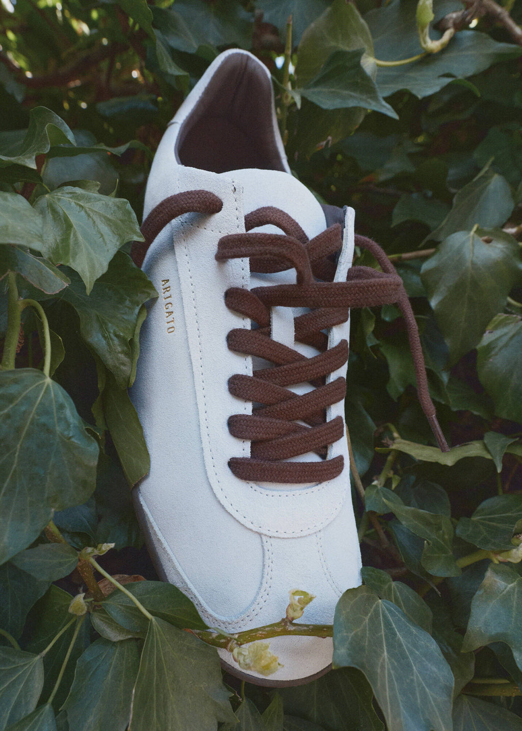 Zane Sneaker - Light Blue/Dark Brown - image 9