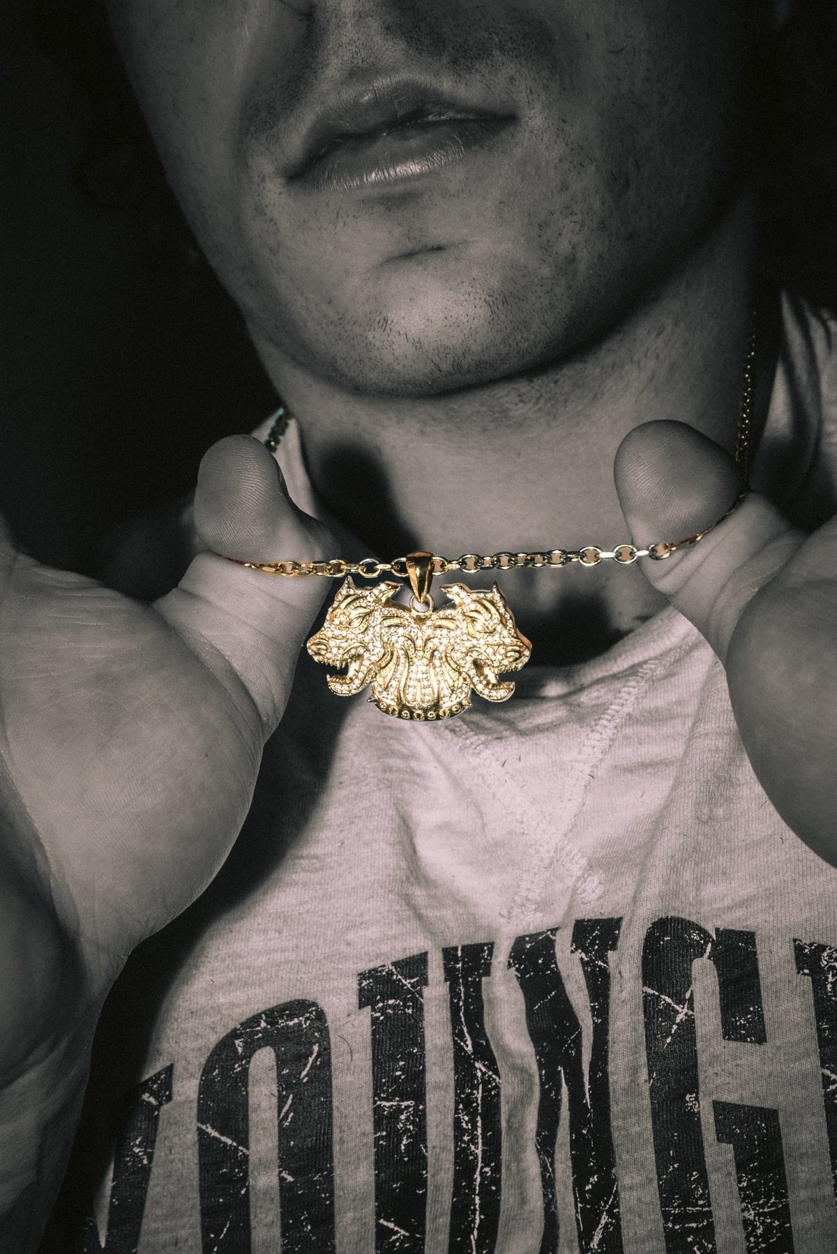 9102 - Le pendentif Twinsignia - Or - 27 octobre