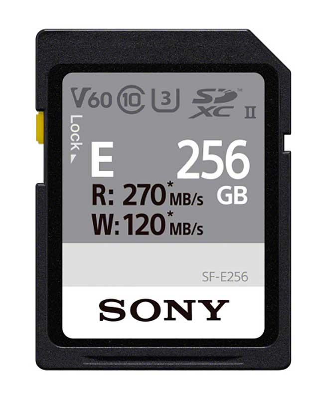 Sony 256GB SF-E Series UHS-II SDXC Memory Card - SFE256/T2 - image 1