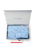 Lichtblauwe hartjes klassieke 'puffy' cadeauset