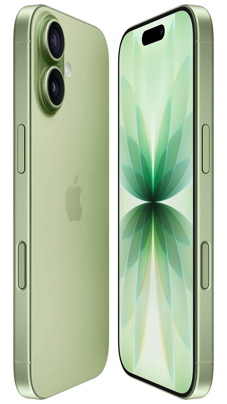 Apple iPhone 17 256GB in Sage - MG4A4LL/A & 6066F - image 5