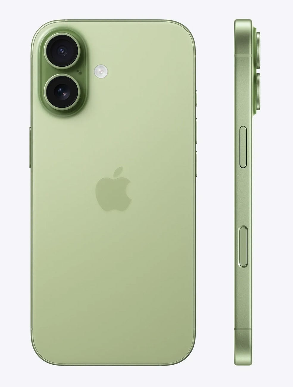 Apple iPhone 17 512GB in Sage - MG4Q4LL/A & 6071F - image 3