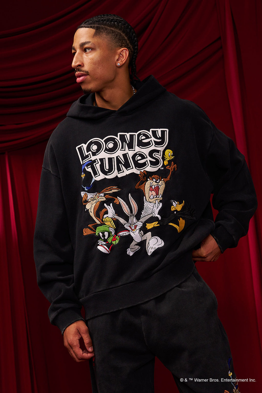 5114 - Sweat à capuche Looney Tunes brodé