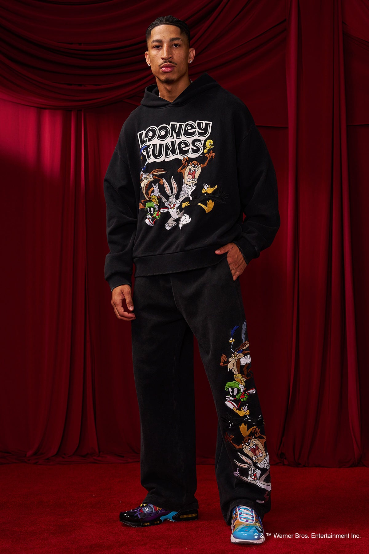 5114 - Sweat à capuche Looney Tunes brodé