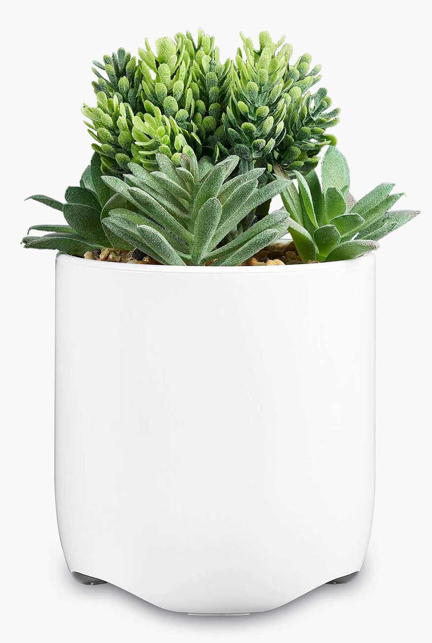 iHome Faux Succulent Charging Station - IPP45 - image 2