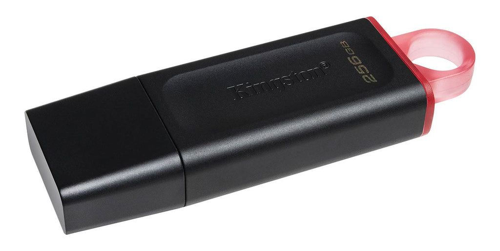 Kingston 256GB DataTraveler Exodia USB 3.2 Flash Drive - DTX256GB - image 2