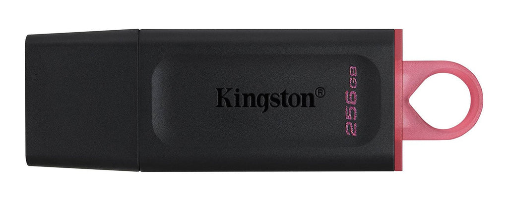 Kingston 256GB DataTraveler Exodia USB 3.2 Flash Drive - DTX256GB - image 1