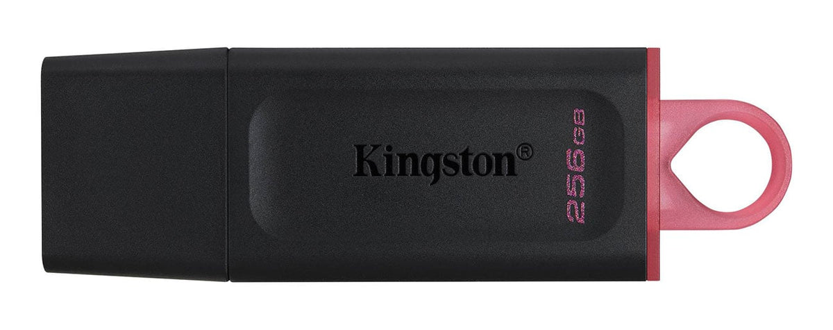 Kingston 256GB DataTraveler Exodia USB 3.2 Flash Drive - DTX256GB - image 1