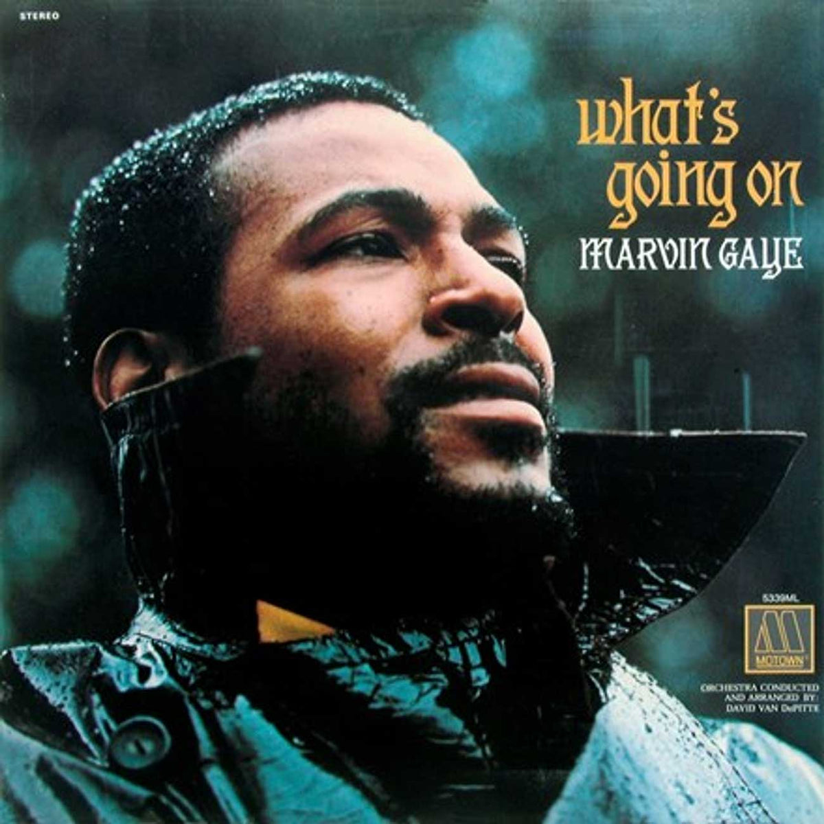 Marvin Gaye What's Going On - 180g Vinyl LP - LDG2210 - image 1