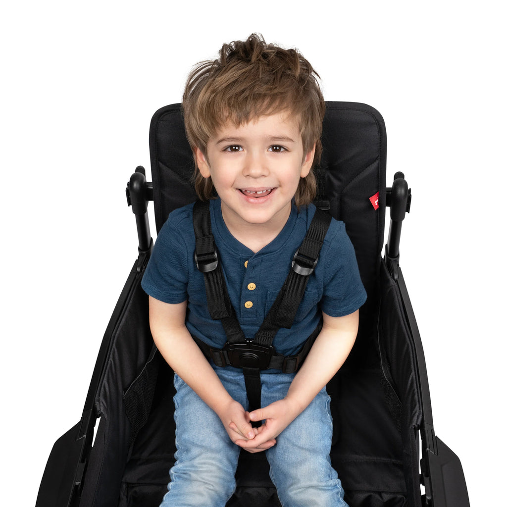 Radio Flyer Voya 2.0 2-Seat Stroller Wagon in Black - 3994Z - image 7
