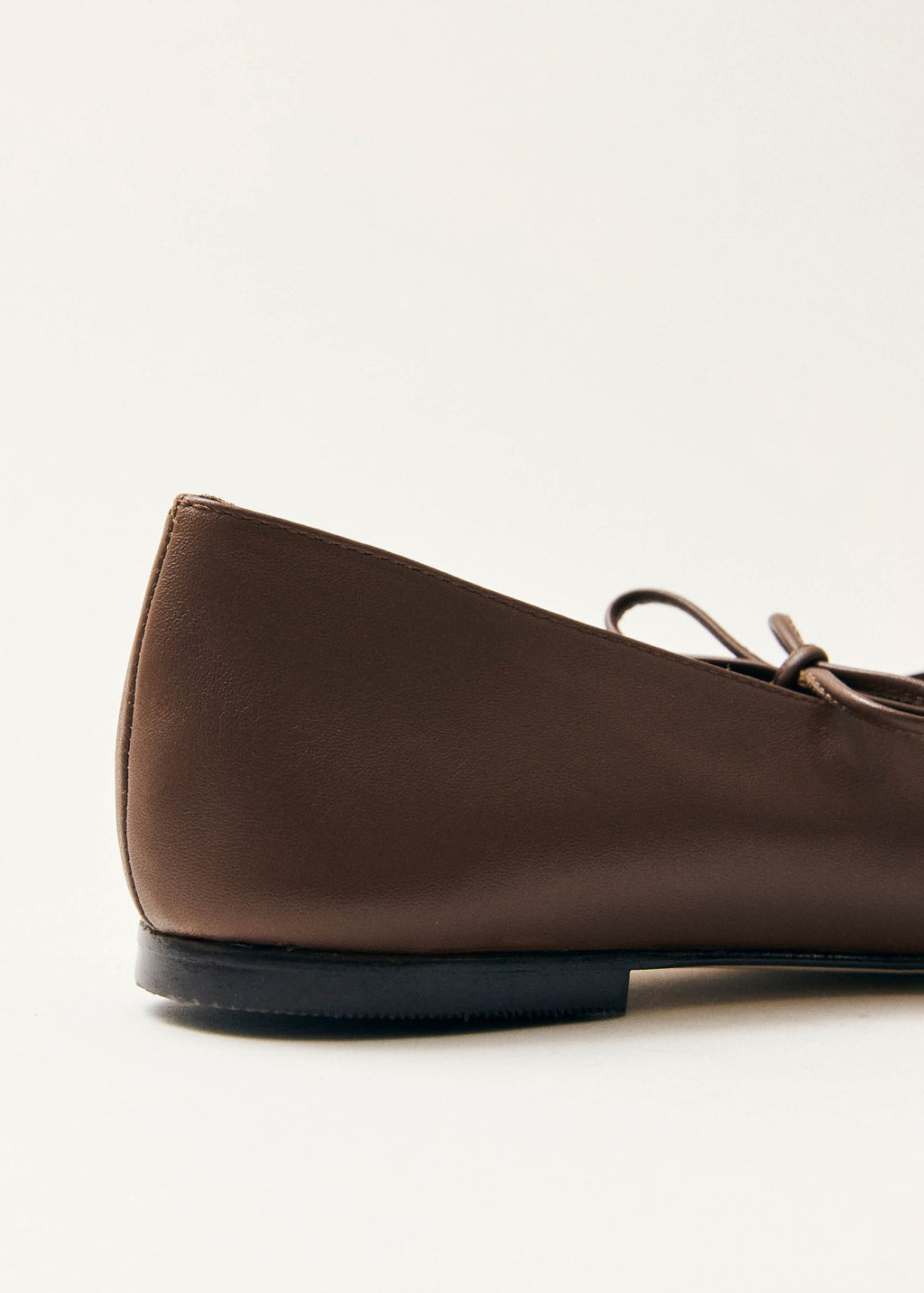 Sway Ballerinas aus kastanienbraunem Leder