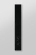 W6107 - Bandeau Velocity